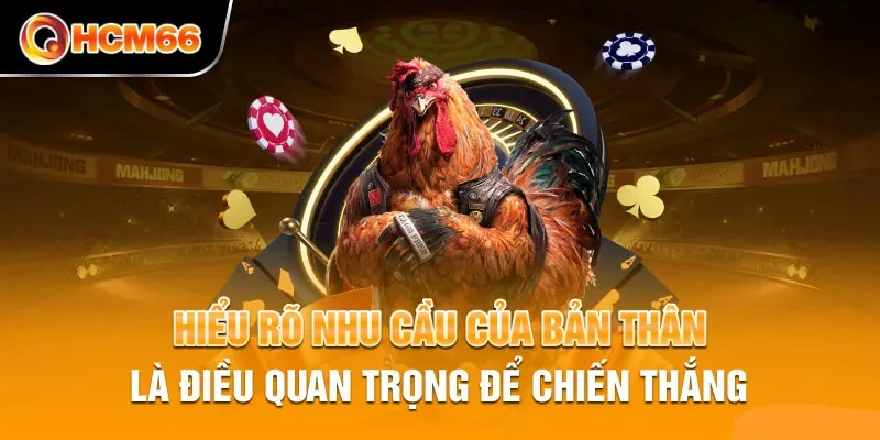 Hướng dẫn tham gia đá gà tại HCM66